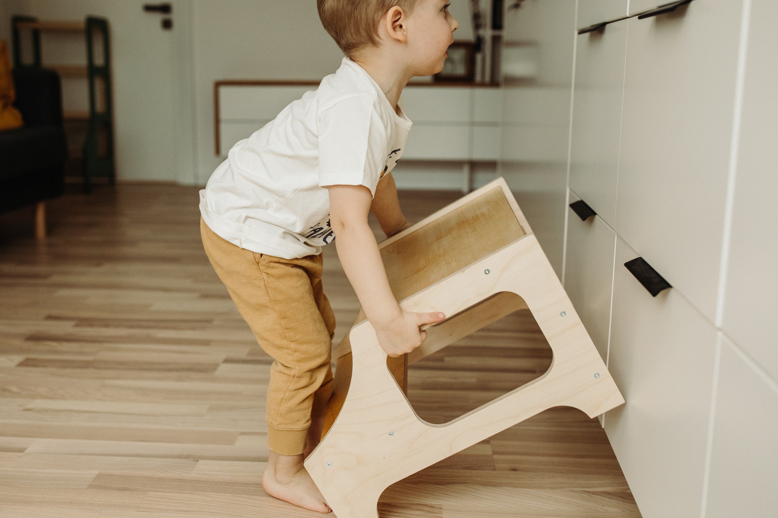 Montessori laiptelis