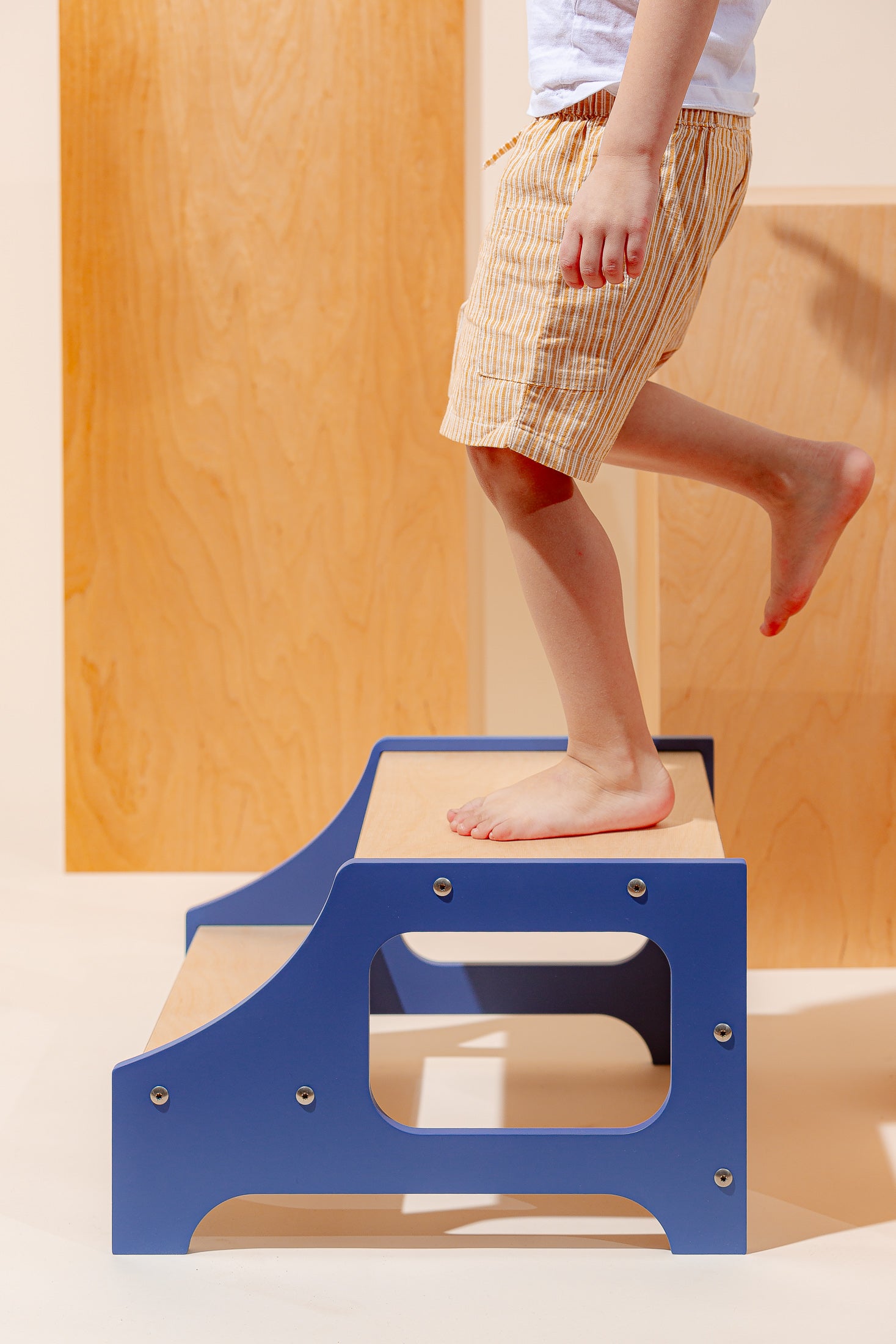 Montessori laiptelis
